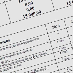 Rozpočet mesta a jeho financovanie
