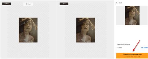 Príklad farbenia a opravy svadobnej fotografie pomocou VanceAI
