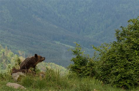 Ochrana prírody na Slovensku