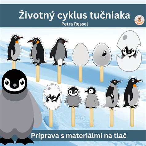 Samec tučniaka cisárskeho s vajíčkom