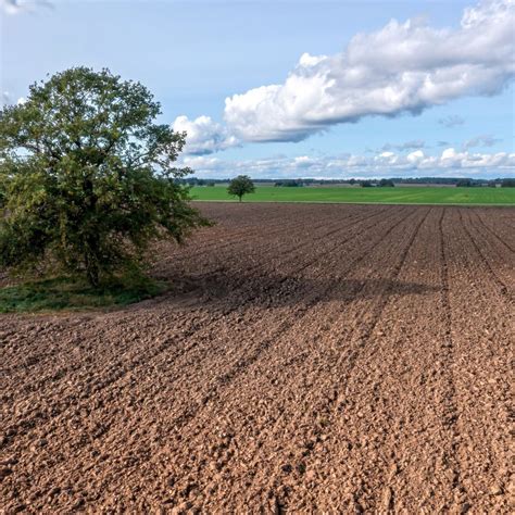 Štruktúra zdravej a skompaktnej pôdy