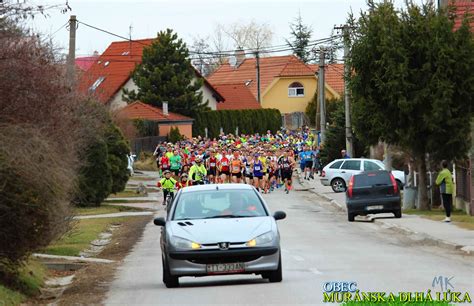 Graf rozdelenia pôdy v obci Muránska Dlhá Lúka