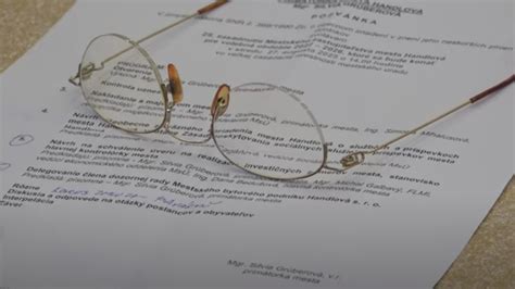 Schéma zmien v poskytovaní sociálnych služieb v Handlovej