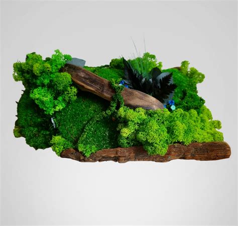 Stolová dekorácia z machu