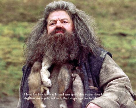 Rubeus Hagrid s hipogrifom Zobákom