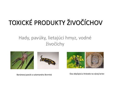 Ilustrácia chránených živočíchov a rastlín, ktorých produkty sú zakázané