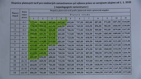 Zamestnanci štátnej a verejnej správy