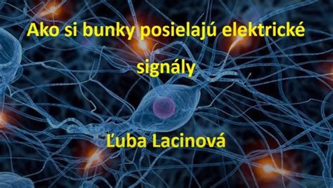 Srdce a elektrické signály