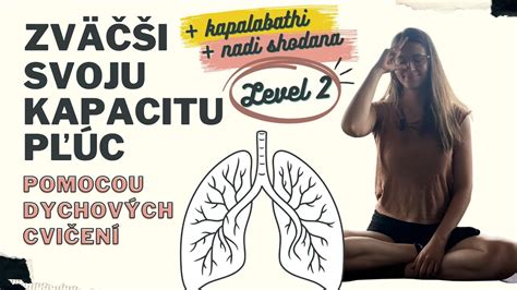 Schéma zobrazujúca diagnostické metódy pri zápale pľúc
