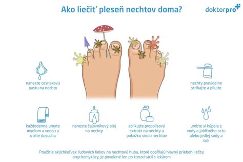 Ilustrácia plesne na nechte