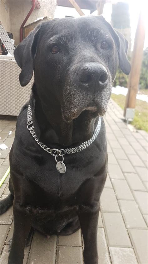 Obaly Locked4Kids vhodné pre seniorov