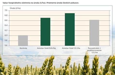 Graf produkcie obilnín v závislosti od stresových faktorov
