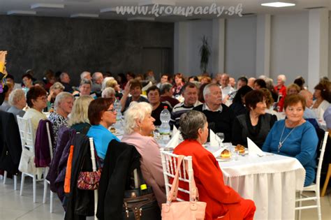 Ukážka štruktúry databázy seniorských organizácií