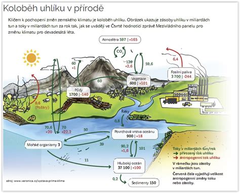 Schéma kolobehu uhlíka v prírode