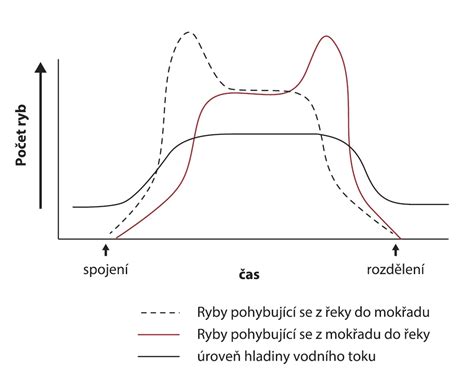 Schéma facilitácie pohybu