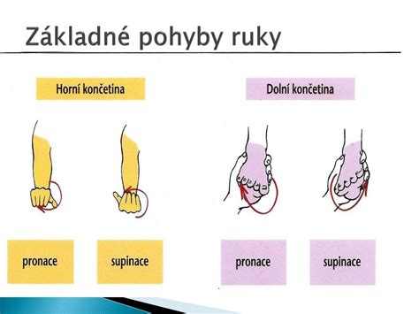 Ilustrácia znázorňujúca tras ruky a spomalené pohyby