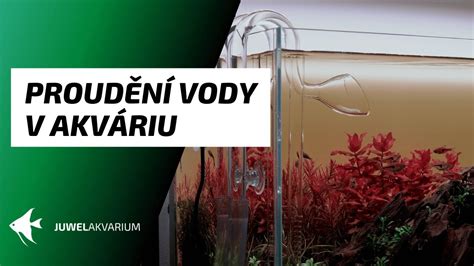 Návod na výmenu vody v akváriu