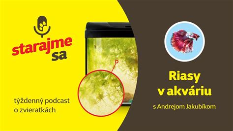 Riasy v akváriu - pred a po čistení