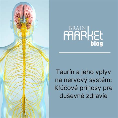Mindfulness a jeho prínosy pre zdravie