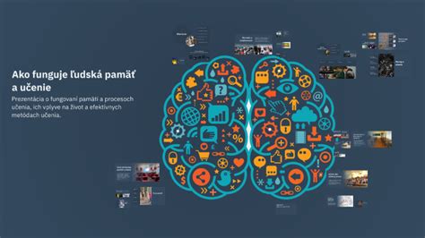 Infografika: Ako funguje pamäť a koncentrácia