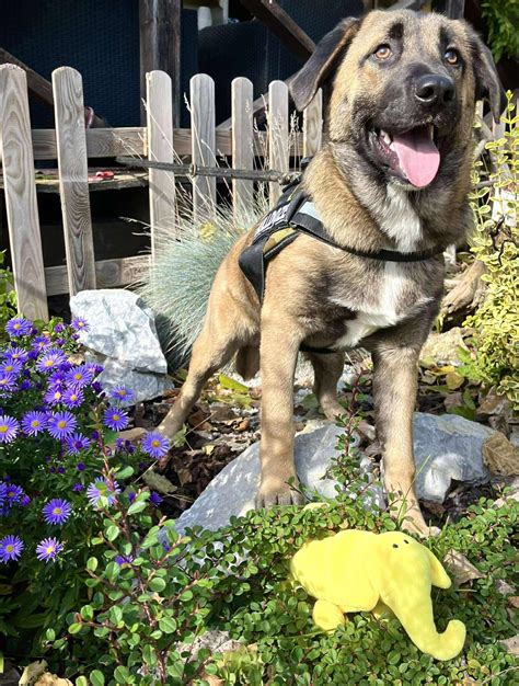 Ilustrácia rodiny s jedným členom starajúcim sa o druhého