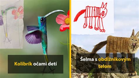 Detské kresby v rôznych fázach vývoja