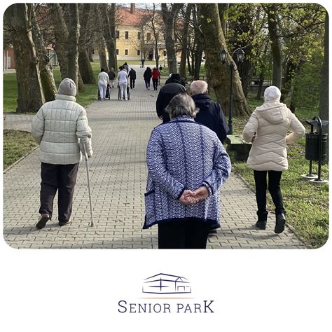 Seniori cvičiaci v parku