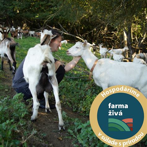Kozia farma s rôznymi plemenami kôz