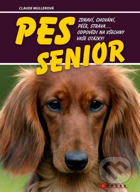 Pes senior pri plávaní