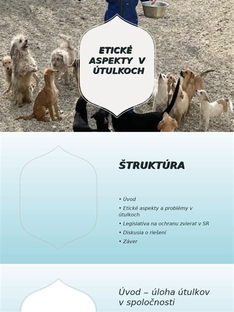 Etické aspekty využívania zvierat v cirkusoch