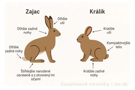 Porovnanie biologických rozdielov medzi človekom a laboratórnymi zvieratami
