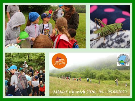 Koláž fotografií detí zapojených do rôznych aktivít v sanatóriu