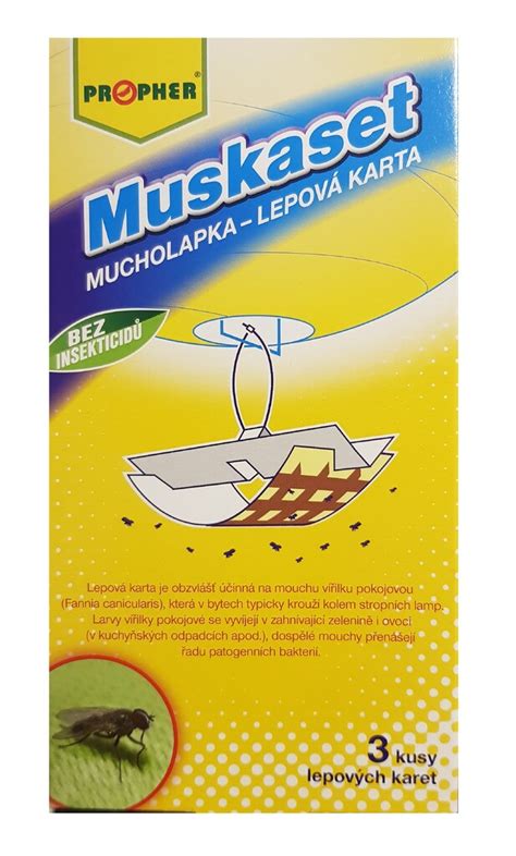 Mucholapka na slnečnom parapete