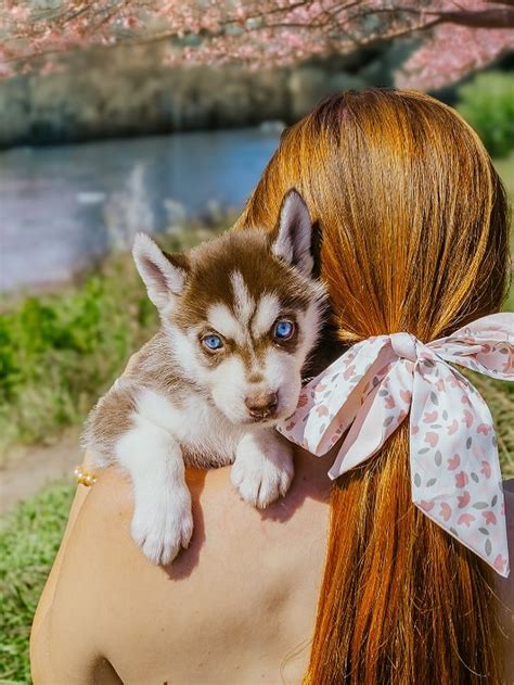 Dvojica, ktorá si hľadá do očí a usmieva sa