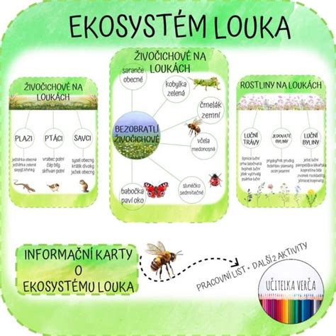 Agro-drevinový ekosystém BBSK