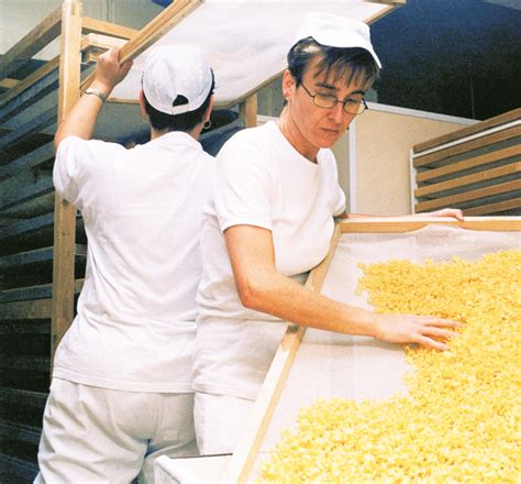 Výroba cestovín v Revúcej