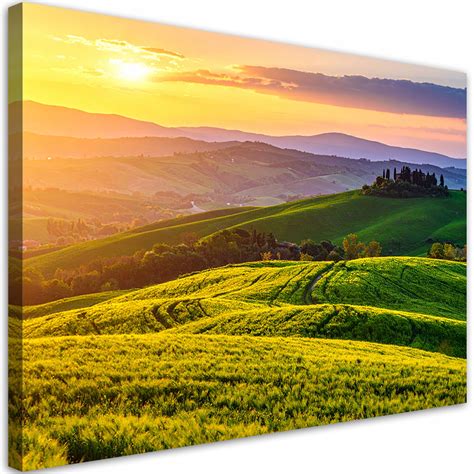 Toskánska krajina s vinicami