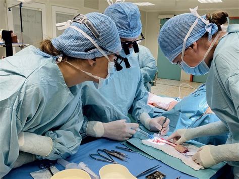 Rozpis pracovného času maxilofaciálnej chirurgie