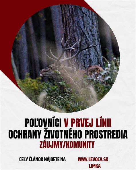 Poľovníci v lese s ulovenou zverou