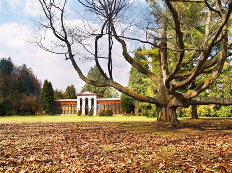 Kaštieľ v Dolnej Strehovej a anglický park