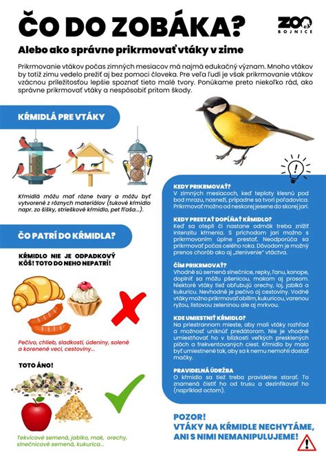 Infografika: Čo darovať a čo nedarovať do sociálneho šatníka