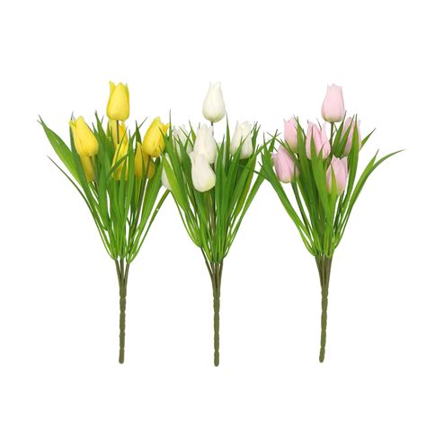 Rôzne druhy a farby tulipánov