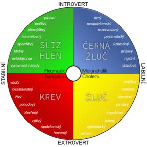 Typy osobnosti páchateľa podľa A. Zradulovej