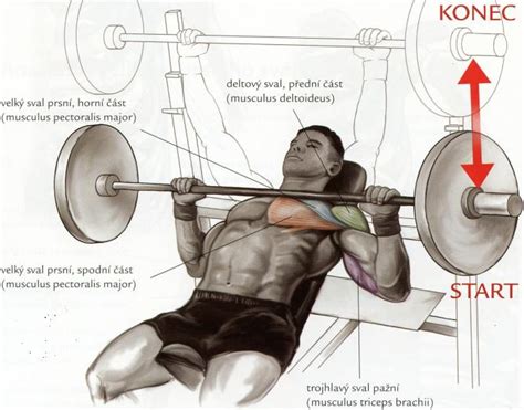 Bench press na šikmej lavičke