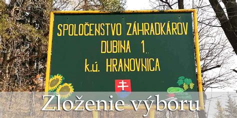 Zloženie prípravného výboru