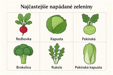 Ilustrácia škodcov azaliek a spôsoby ochrany