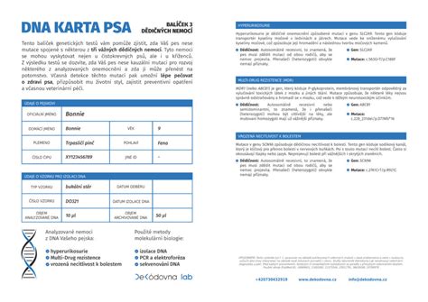 Priebeh PSA testu