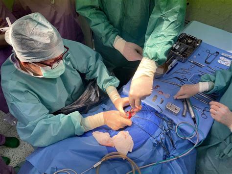 Dieťa s kochleárnym implantátom pri audiologickom tréningu