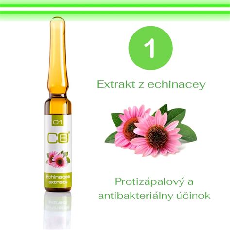 Schéma pôsobenia aktívnych látok v kréme