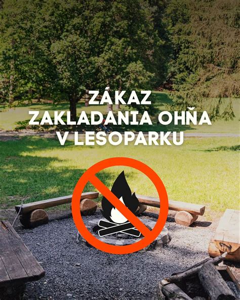 Infografika: Fázy zakladania ohňa v prírode